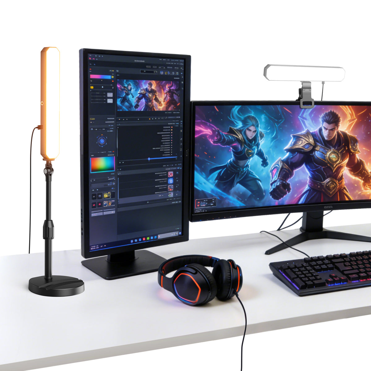 NEEWER BASICS L10 Bi Color LED Desktop Light Kit