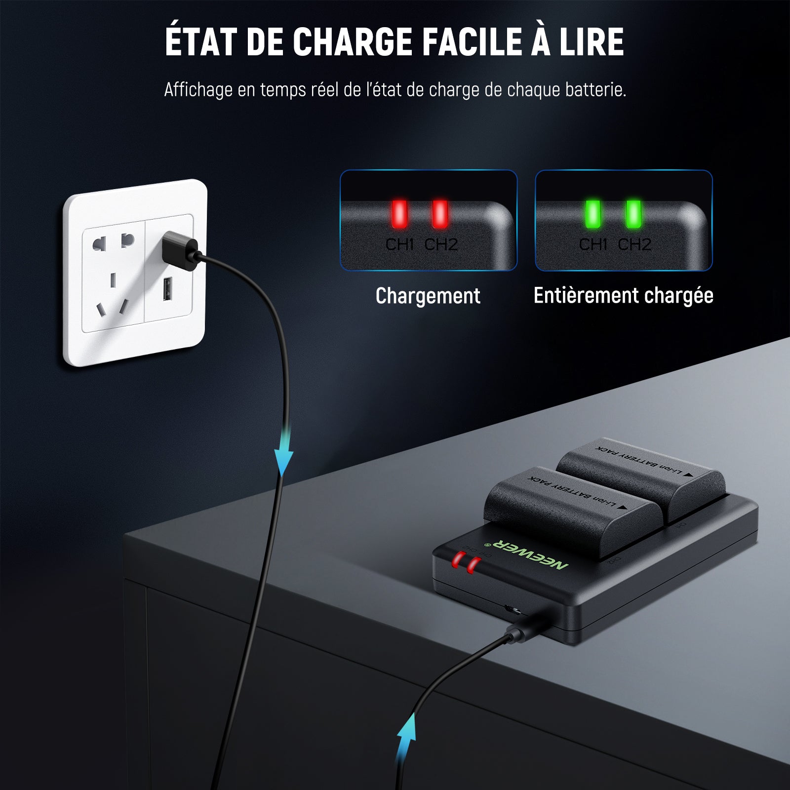 NEEWER Impugnatura Batteria Verticale BG-R10 Per Canon EOS R5/R6 – Con 2 Batterie LP-E6 E Caricabatterie USB Doppio